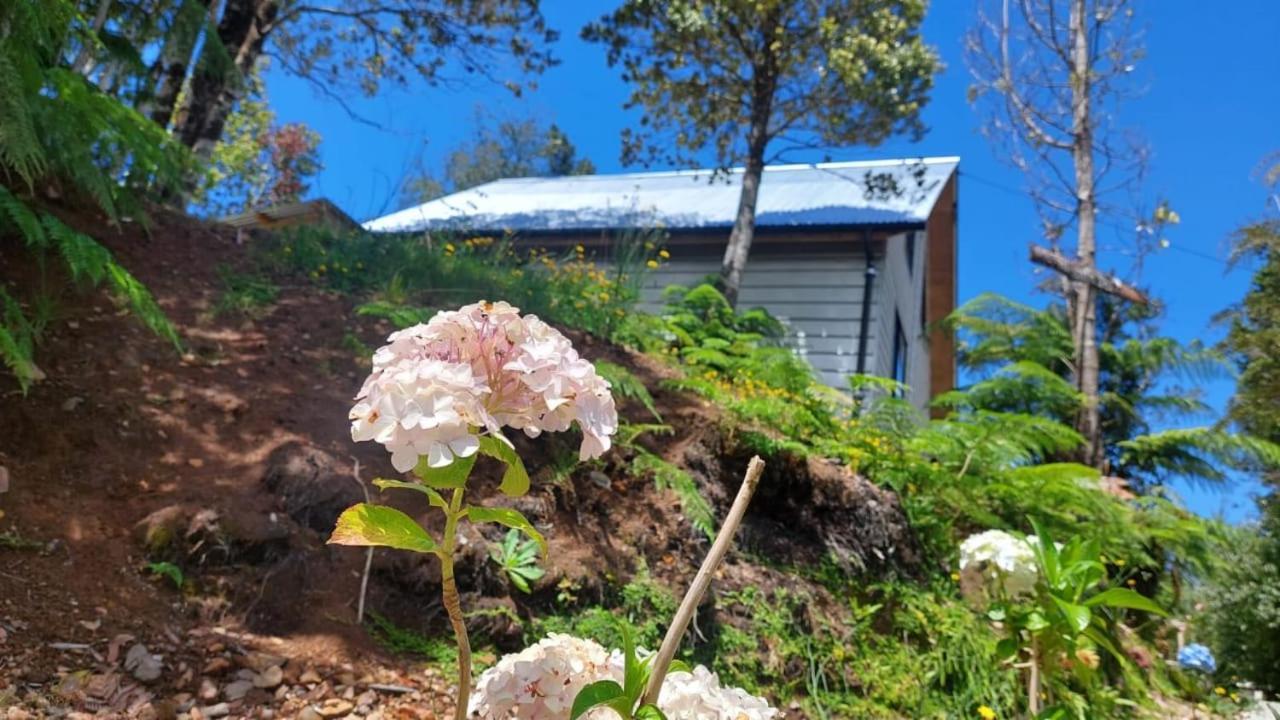 & Del Alto Guest house